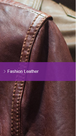 Leather | Tata International