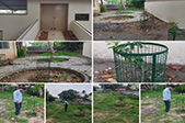 Colleagues-from-Chennai-volunteer-to-maintain-sapling-